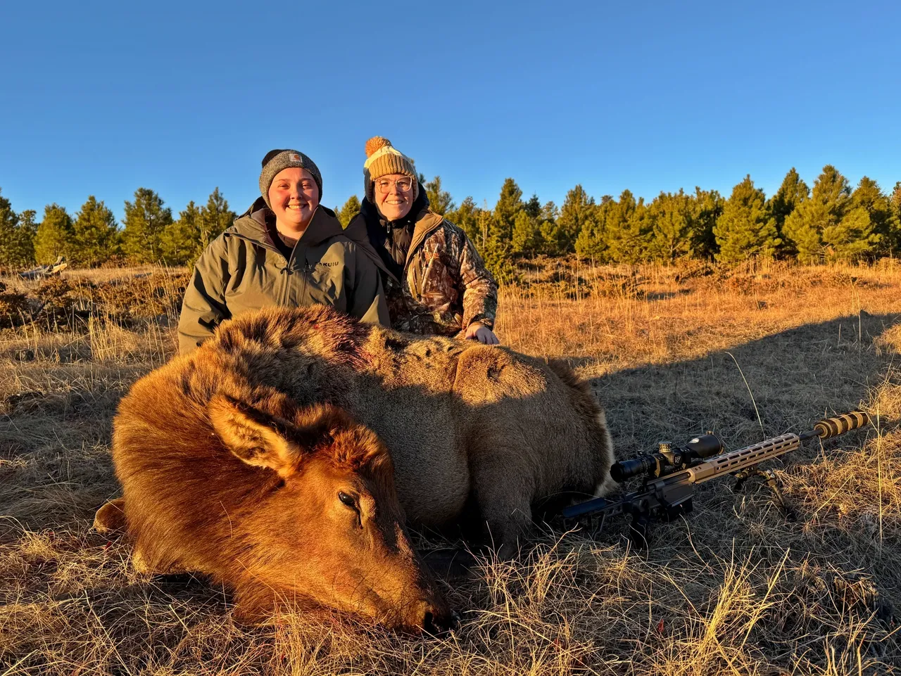 Hunters posing with elk in field.