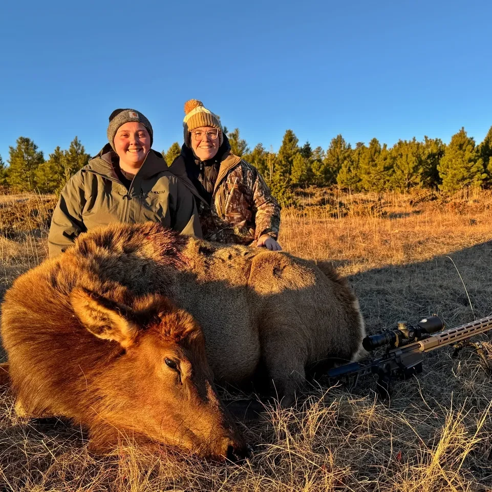 Hunters posing with elk in field.